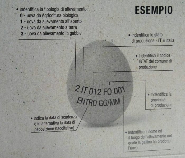 Come riconoscere le uova fresche e leggere il codice 